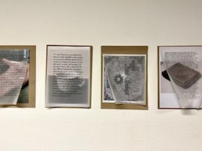 Thumbnail Img 7713